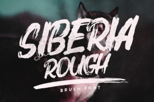 Siberia Rough: A Burst of Energy in Display Font Design